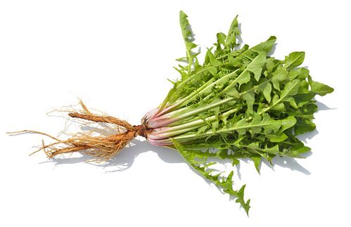 Dandelion root in Femixal